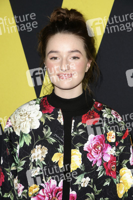 Filmpremiere 'Vice' in Beverly Hills