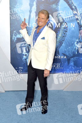 Filmpremiere 'Aquaman' in Los Angeles