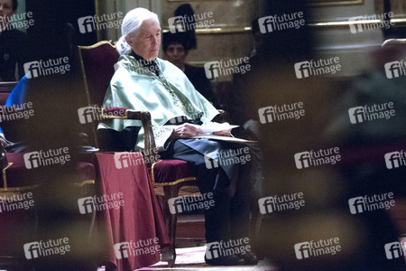 Ehrendoktorwürde für Jane Goodall in Madrid