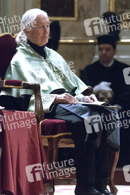 Ehrendoktorwürde für Jane Goodall in Madrid