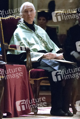 Ehrendoktorwürde für Jane Goodall in Madrid