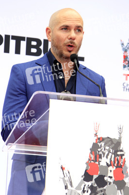 Hand and Footprint Ceremony mit Pitbull in Los Angeles