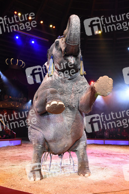 Premiere 1. Winterprogramm 2018 Circus Krone in München