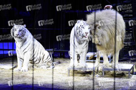 Premiere 1. Winterprogramm 2018 Circus Krone in München