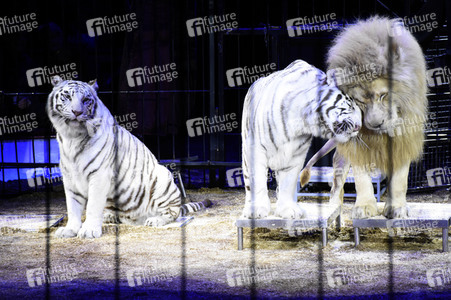 Premiere 1. Winterprogramm 2018 Circus Krone in München