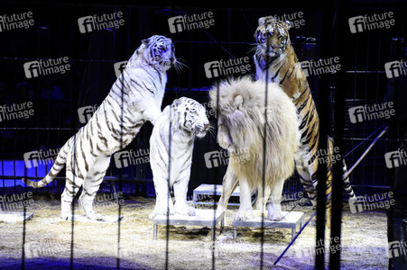 Premiere 1. Winterprogramm 2018 Circus Krone in München