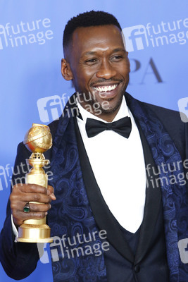 Golden Globe Awards 2019 in Beverly Hills