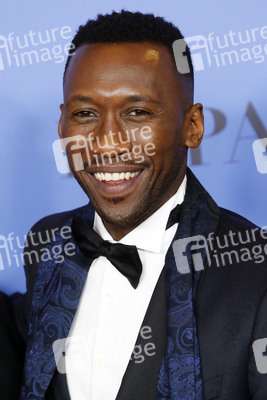 Golden Globe Awards 2019 in Beverly Hills