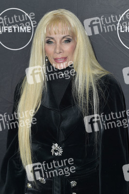 Lifetime Winter Movies Mixer in Los Angeles