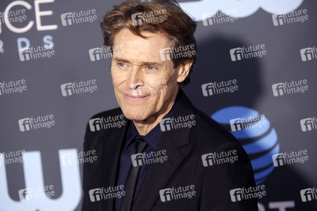 Critics' Choice Awards 2019 in Santa Monica