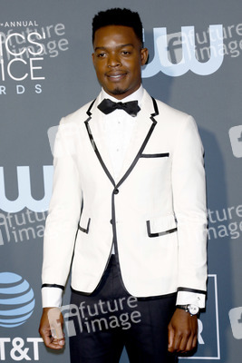 Critics' Choice Awards 2019 in Santa Monica