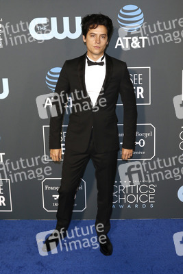 Critics' Choice Awards 2019 in Santa Monica