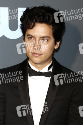 Critics' Choice Awards 2019 in Santa Monica