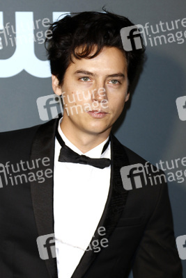 Critics' Choice Awards 2019 in Santa Monica