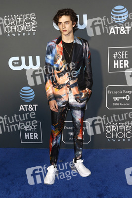 Critics' Choice Awards 2019 in Santa Monica