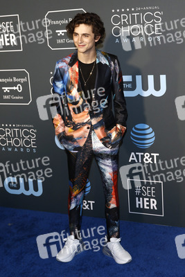 Critics' Choice Awards 2019 in Santa Monica