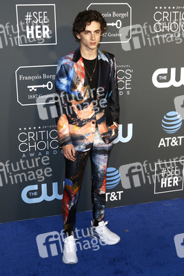 Critics' Choice Awards 2019 in Santa Monica