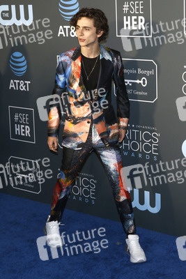 Critics' Choice Awards 2019 in Santa Monica