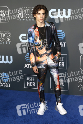 Critics' Choice Awards 2019 in Santa Monica