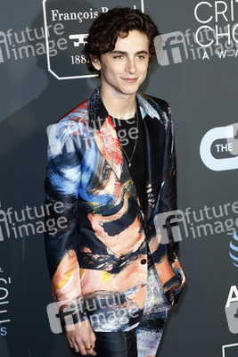 Critics' Choice Awards 2019 in Santa Monica