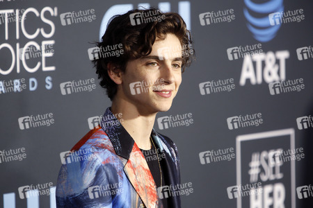 Critics' Choice Awards 2019 in Santa Monica