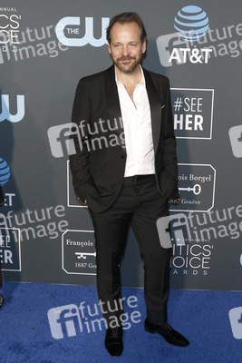 Critics' Choice Awards 2019 in Santa Monica