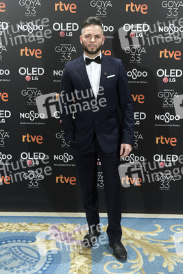Goya Filmpreis Nominierten-Dinner in Madrid
