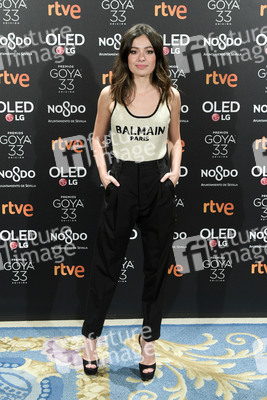 Goya Filmpreis Nominierten-Dinner in Madrid