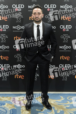 Goya Filmpreis Nominierten-Dinner in Madrid
