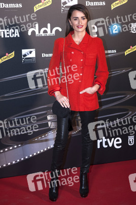 Dias de Cine Awards in Madrid