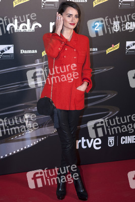 Dias de Cine Awards in Madrid