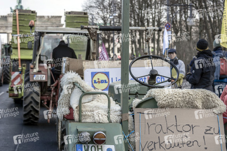 Demonstration 'Wir haben es satt!' in Berlin
