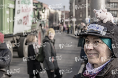 Demonstration 'Wir haben es satt!' in Berlin