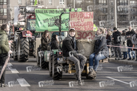 Demonstration 'Wir haben es satt!' in Berlin