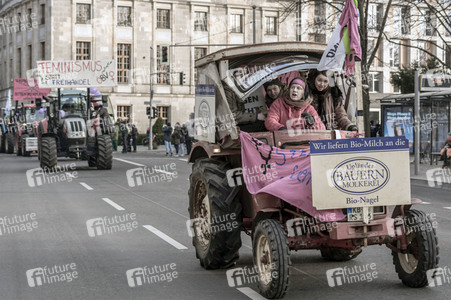 Demonstration 'Wir haben es satt!' in Berlin