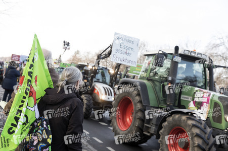 Demonstration 'Wir haben es satt!' in Berlin