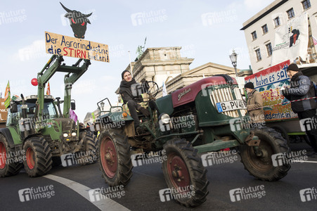 Demonstration 'Wir haben es satt!' in Berlin