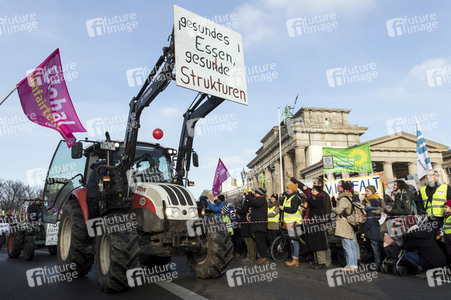 Demonstration 'Wir haben es satt!' in Berlin