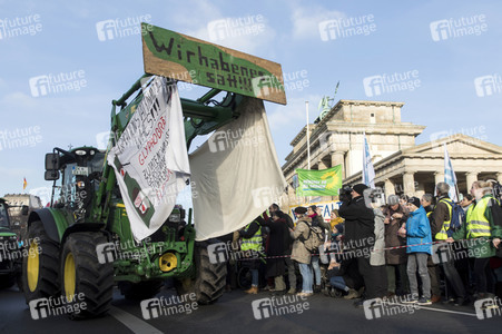 Demonstration 'Wir haben es satt!' in Berlin
