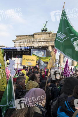 Demonstration 'Wir haben es satt!' in Berlin