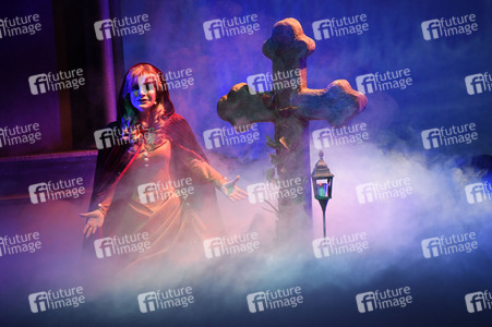 Musicalaufführung 'Das Phantom der Oper' in München