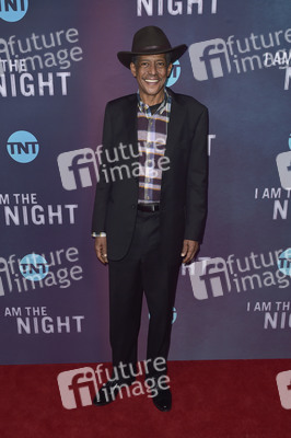 Serienpremiere 'I Am the Night' in Los Angeles