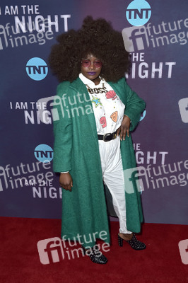 Serienpremiere 'I Am the Night' in Los Angeles