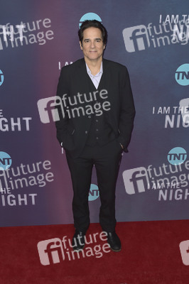 Serienpremiere 'I Am the Night' in Los Angeles