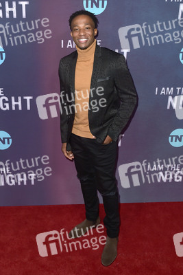 Serienpremiere 'I Am the Night' in Los Angeles