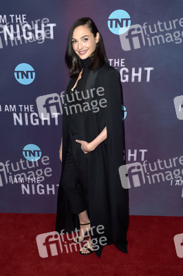 Serienpremiere 'I Am the Night' in Los Angeles