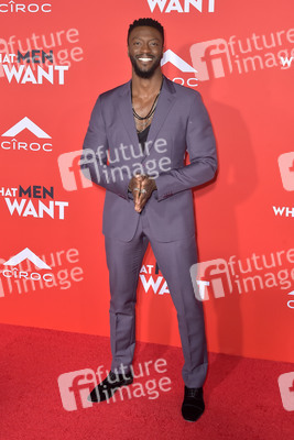 Filmpremiere 'Was Männer wollen' in Los Angeles