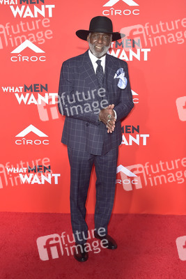 Filmpremiere 'Was Männer wollen' in Los Angeles