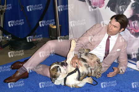 TV-Show 'American Rescue Dog Show 2019' in Pomona