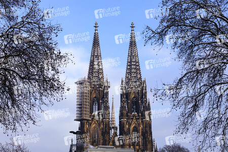 Kölner Dom im Winter